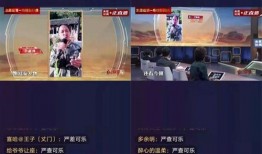 刘二狗爆料可乐视频,揭秘可乐视频背后的惊人真相！