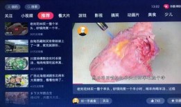 爆料时间蓝莓完整视频,揭秘事件背后惊人真相