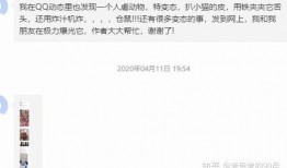 qq群最新爆料,揭秘热门话题背后的惊人真相