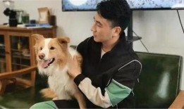 二狗爆料完整版视频,事件真相与幕后黑幕大起底