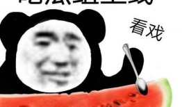 沙雕快穿吃瓜系统小说免费阅读,吃瓜系统带你笑翻天