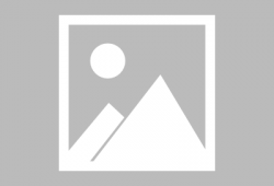 陈导直播爆料视频大全最新