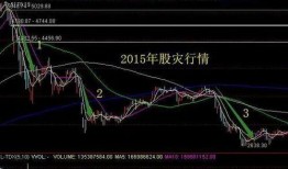 海外最新爆料 股灾,股灾背后的惊心动魄